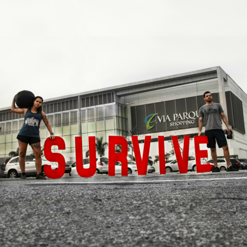 Survive | Foto: Divulgação